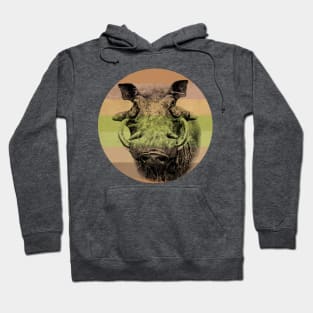 Warthog Close-up on Retro-style Sunset in Africa Colors Hoodie